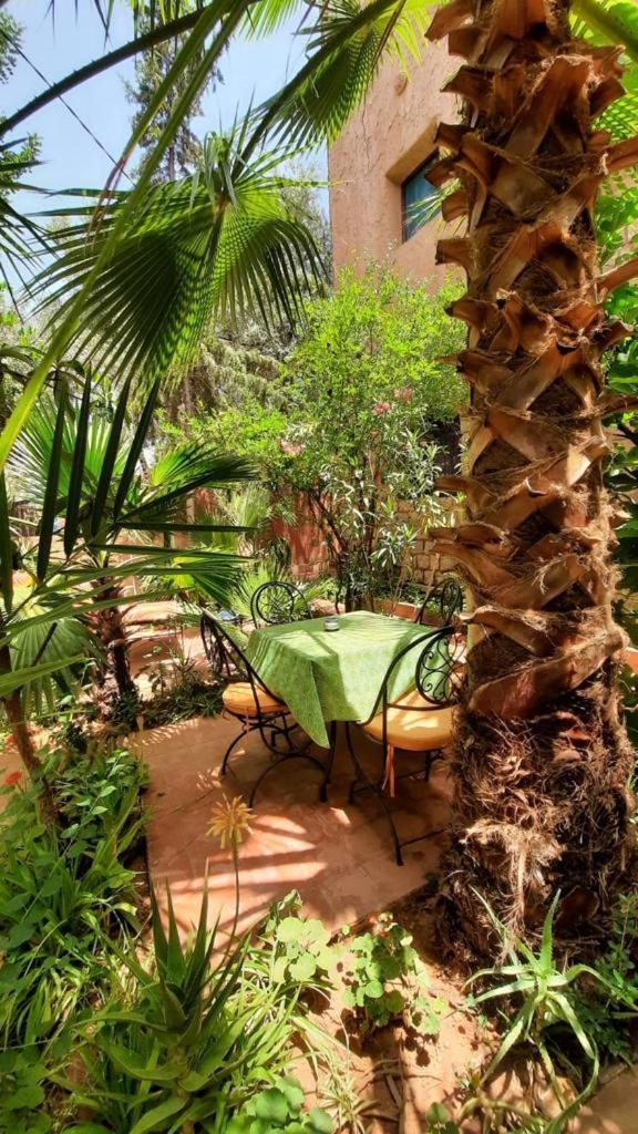 Dar Ouzoud Vegan Hotel Стая снимка